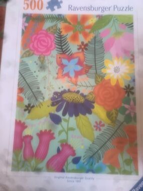 Puzzles (2) by Ravensburger.  500ct each